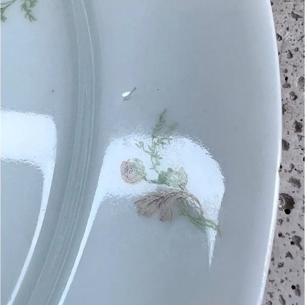 Vintage GDA CH Field Haviland Limoges France Floral Dinner Plates & Serving Dish